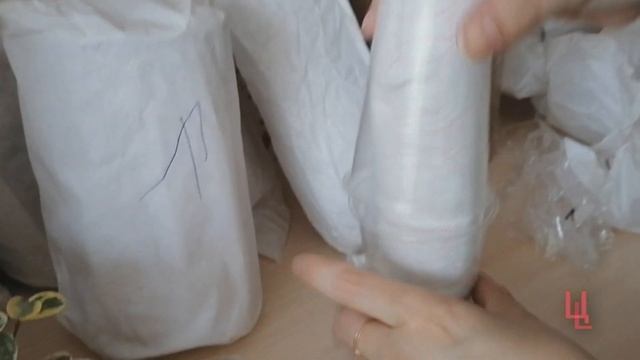 распаковка посылки № 4 с редкими растениями | комнатные растения почтой | пополнение коллекции смотреть онлайн