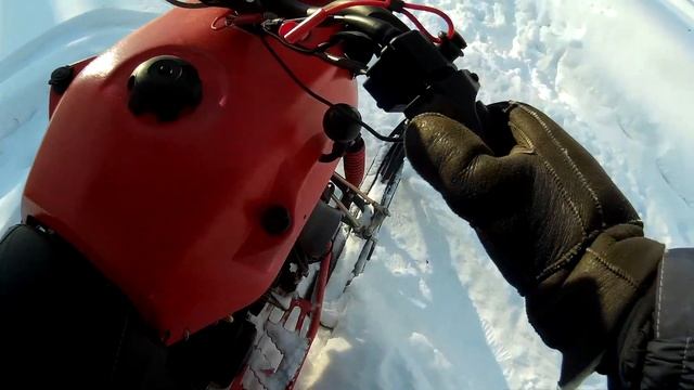 Прогулка по лесу на Irbis SF150L смотреть онлайн