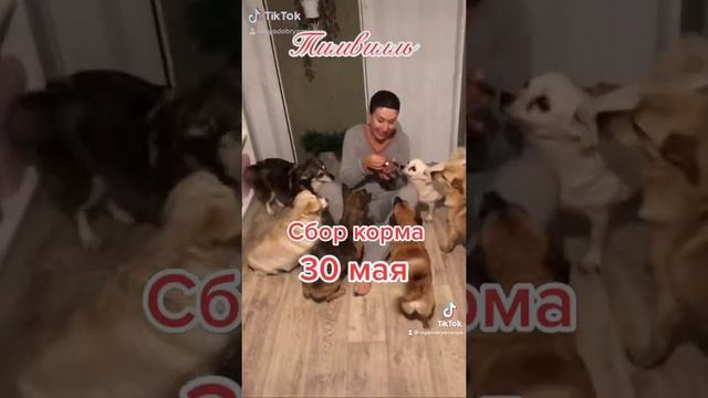 28 мая 2021 г. смотреть онлайн