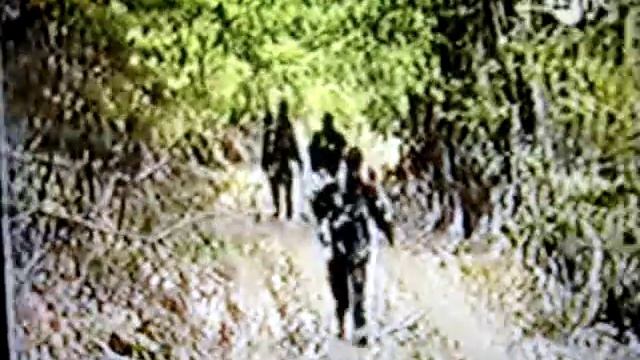 Drago Todorovic iz Cajnica izvjestava za TV Novi Sad смотреть онлайн