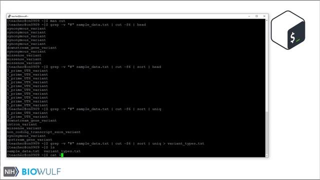 Bash Scripting Class: Pipes смотреть онлайн