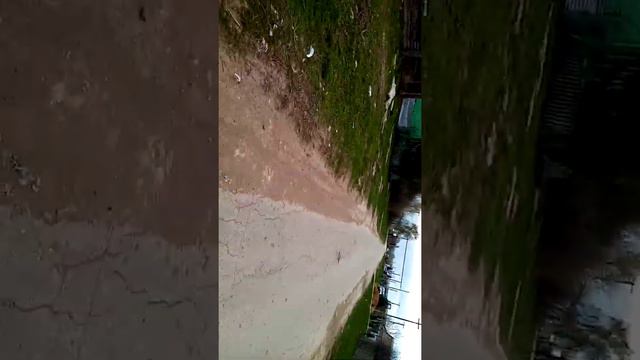 дорого очень хороша смотреть онлайн