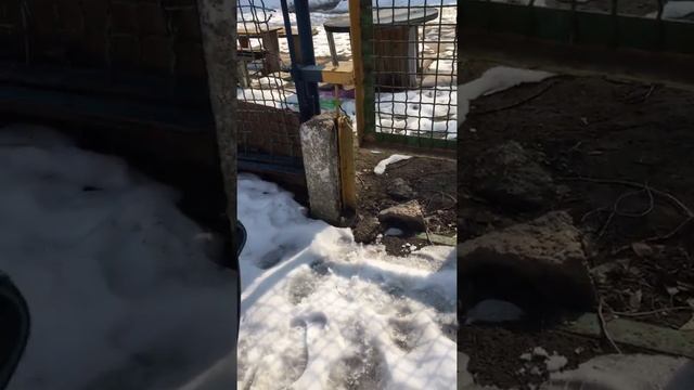 Ходим по грязи смотреть онлайн