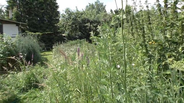 МЕДОНОСЫ по ХОЛЬЦЕРУ смотреть онлайн