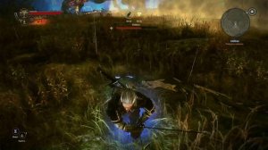 Как убить Кейрана (Ведьмак 2)