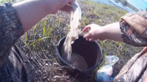 Прикормка для ловли уклейки, ельца, плотвы