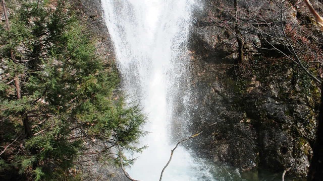 DSC_3360 смотреть онлайн