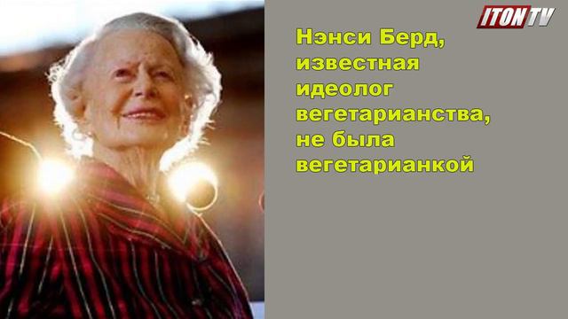 10 парадоксов. Ходил ли Иисус Христос в синагогу и другие интересные факты смотреть онлайн