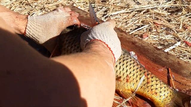 как балыковать сазана смотреть онлайн