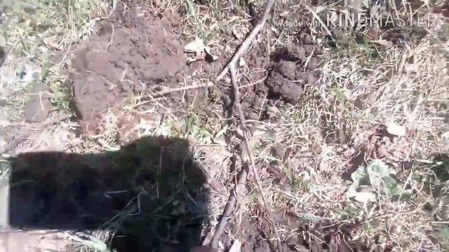 Коп с MD-6250(Ace250).Нашли рассыпуху!!!