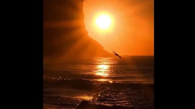 Toto Cutugno, W Maddalena, Lana Shanghinà