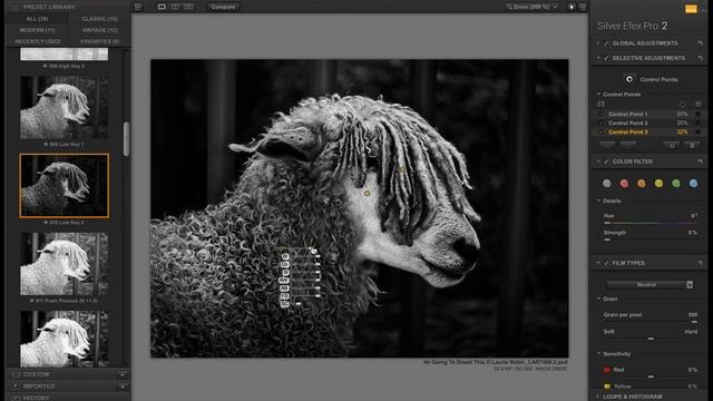 Darkening Backgrounds with Silver Efex Pro 2 and Viveza 2 смотреть онлайн