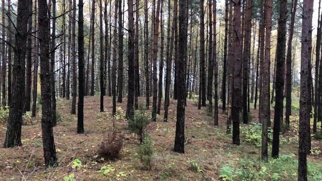 УЛУЧШАЕМ КИТАЙСКУЮ ПАЛАТКУ( Сбор и разбор дешевой китайской палатки 2020) смотреть онлайн