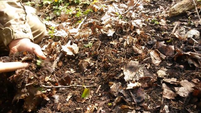 Коп с minelab ctx 3030 нашли совецкую копейку смотреть онлайн
