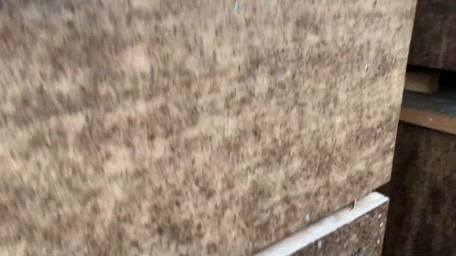 25 декабря 2017 г.Дойче Ризен смотреть онлайн