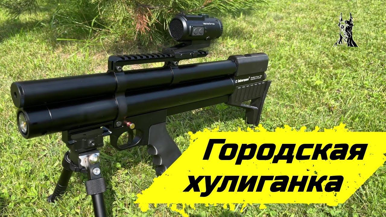 Alfa Dobermann 250, высокоточная микробулка. Хулиганка.