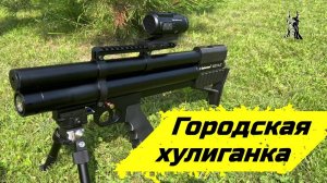 Alfa dobermann 250, высокоточная микробулка. Хулиганка.