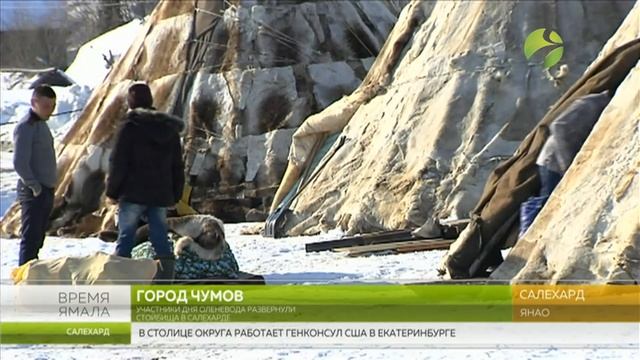 В Салехарде на реке Полябта завершается подготовка к Дню оленевода смотреть онлайн