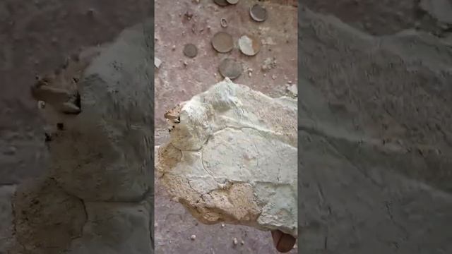 Поиск монет в старом доме смотреть онлайн