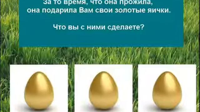 КОРОТКИЙ РОЛИК КОМПАНИИ ADSPROFITREWARD - БИДЫ И VIP POINT ОТ 04.04.13 - - YouTube смотреть онлайн