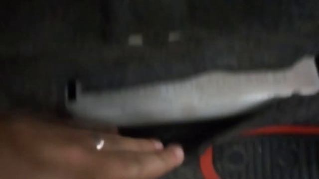 Toyota Rav4 numéro de châssis et plaque constructeur смотреть онлайн