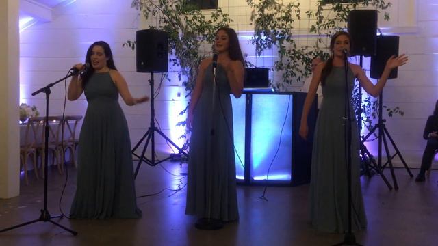 Crazy bridesmaids toast - Maddie and Dalton - August 12, 2017 смотреть онлайн