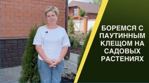 КАК БОРОТЬСЯ С КЛЕЩОМ НА ОГУРЦАХ И ДРУГИХ РАСТЕНИЯХ В САДУ!