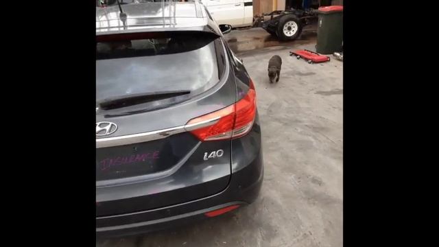 Wrecking – 2011 Hyundai i40 – Automatic FWD 4516 смотреть онлайн