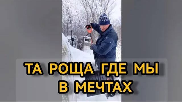 Зимние выходные на даче 04.02.2024 смотреть онлайн