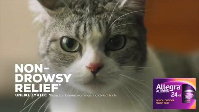 Allegra Commercial: 'Live Your Greatness' (2022) смотреть онлайн
