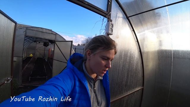 ЗАГОТОВКИ НА ЗИМУ. ДЕГУСТАЦИЯ МОЛОДОГО ВИНА. Жизнь в деревне смотреть онлайн