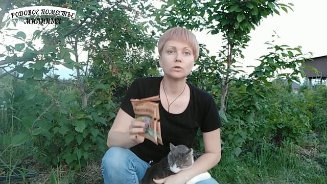 Обработка смородины от тли Фитовермом. смотреть онлайн