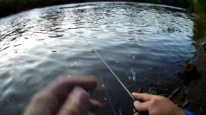 КАРАСЬ НА НАНО-ДРОПШОТ. МЕГА- УЛОВИСТАЯ СНАСТЬ! (Рыбалка в Подольске)