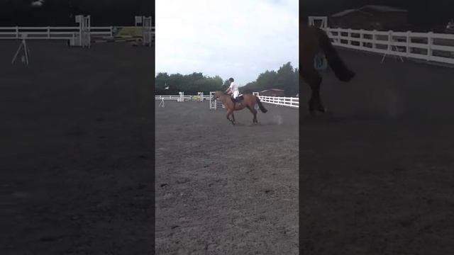 Master solitaire 27/7/13 70cm NH смотреть онлайн