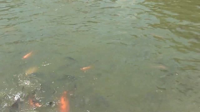 САД КАМНЕЙ смотреть онлайн