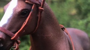 Не большая тренировка?|Лошади шляйх