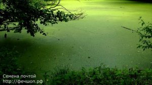 10 опасных минеральных удобрений