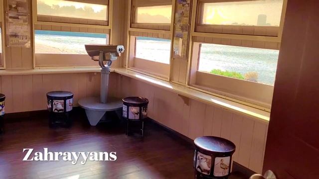 Free Entry Wildlife Sanctuary Ras Al Khor Travel Vlog Flamingo Birds Spot In Dubai Explore UAE смотреть онлайн