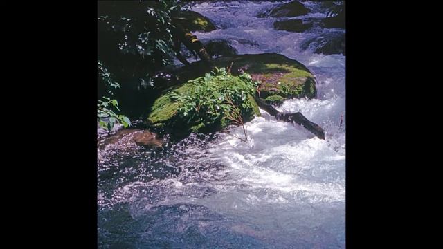 Oirase River 奥入瀬川 渓流 十和田八幡平国立公園 Melartin Surullinen Puutarha Melancholy Garden Op 52 IV Rain Izumi смотреть онлайн