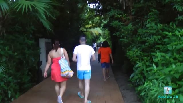 Catalonia Playa Maroma - the Room смотреть онлайн