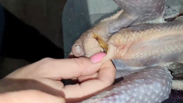 Забой Цесарок смотреть онлайн