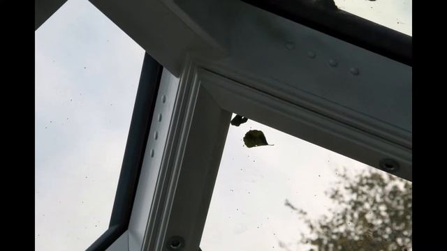 Зимний сад WOODER. смотреть онлайн
