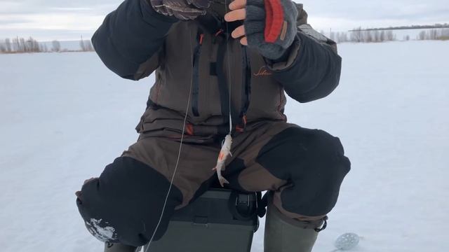 Зимняя рыбалка на окуня. Деревня Уртатау. Рыбалка в Башкирии. смотреть онлайн