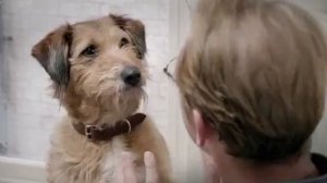 Как научить СОБАКУ говорить МАМА? | Собака говорит МАМА