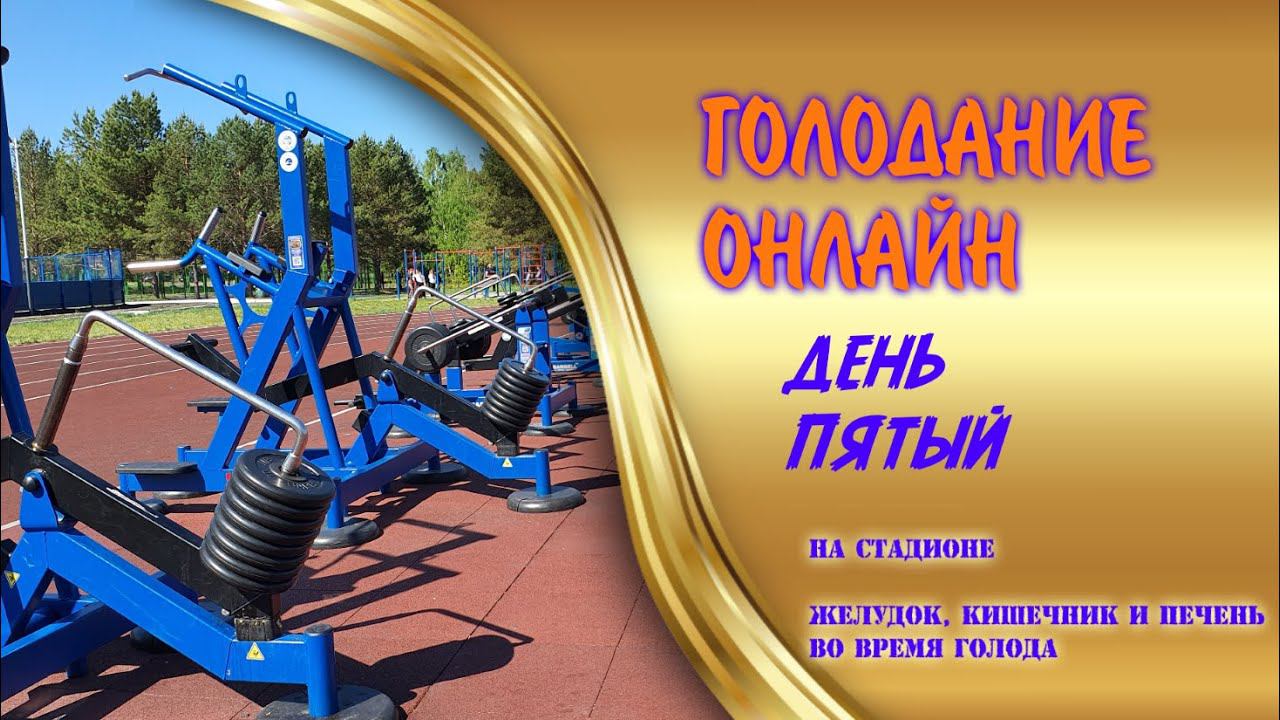 Лечебное голодание онлайн. День пятый смотреть онлайн