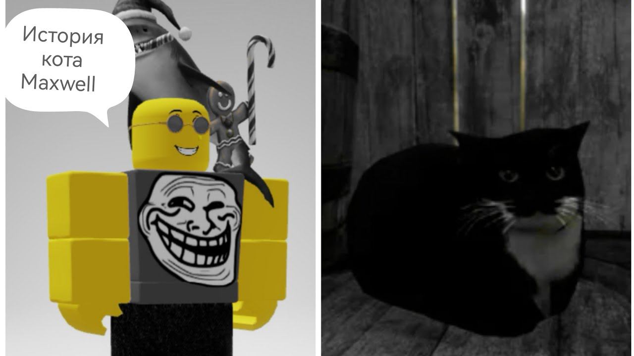 Дело 1. О коте Maxwell.