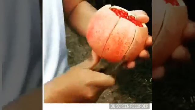 Гранатовый цветок смотреть онлайн