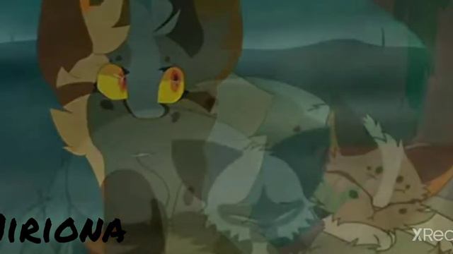 коты воители Пятнистая звезда и Саша " лучшая подруга " клип. Cats warriors смотреть онлайн
