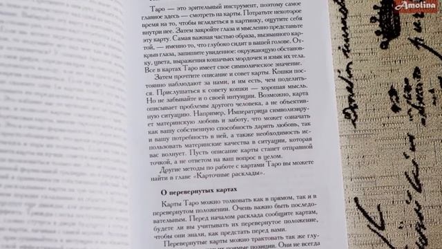 ТАРО МИСТИЧЕСКИХ КОШЕК мои впечатления смотреть онлайн