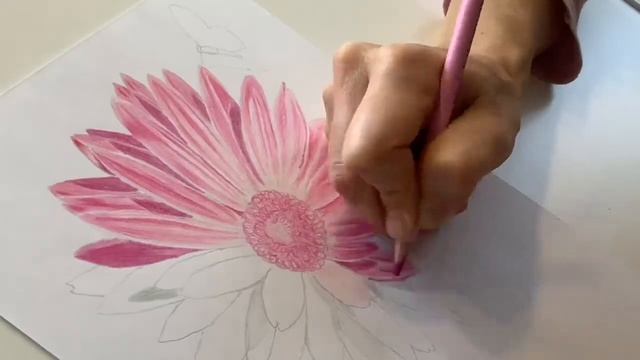 Рисуем цветы.Гербера.Цветными карандашами.Для начинающих.How to paint flowers for beginners. смотреть онлайн